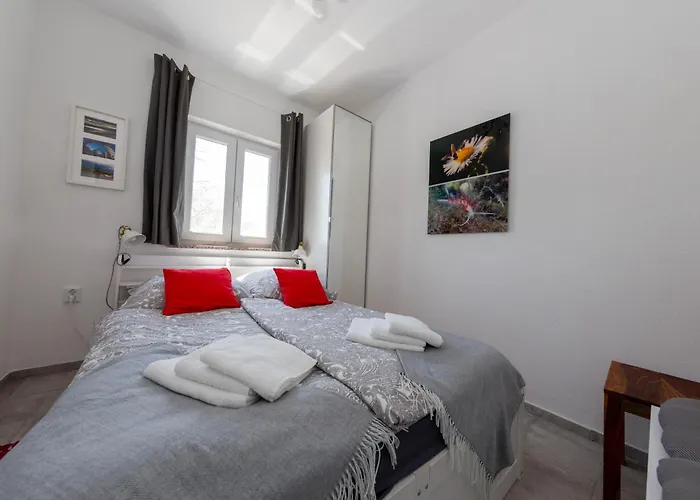 Bibo Case de vacanță *